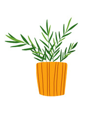 Hand drawn house plant in mustard color pot clip art. Chamaedorea illustration isolated on white background. Green leaves flower in a pot. House plant clipart.