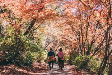 Fototapeta premium 紅葉のトンネルを歩く夫婦
