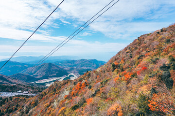 紅葉に溢れる山をケーブルカーで降りていく時の風景