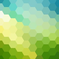 Fototapeta na wymiar Abstract colored hexagon background. Vector modern illustration. eps 10