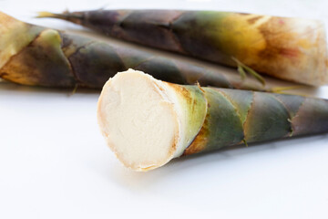 Fresh bamboo shoots white background.
