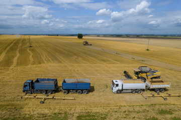 Combine harvesters fill grain trucks with wheat. Photo from a drone.
