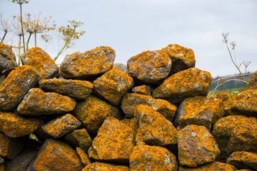 Old stone wall, moss and mold on the stone
