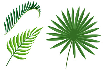 Naklejka na ściany i meble Set of tropical green plant leaves