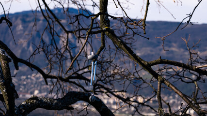 jouet dans la nature 