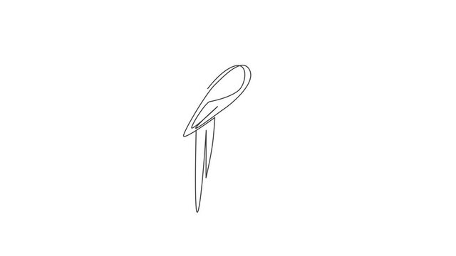 Animated self drawing of single continuous line draw smart funny parrot bird for company logo identity. Flying animal mascot concept for pet lover club icon. Full length one line animation.