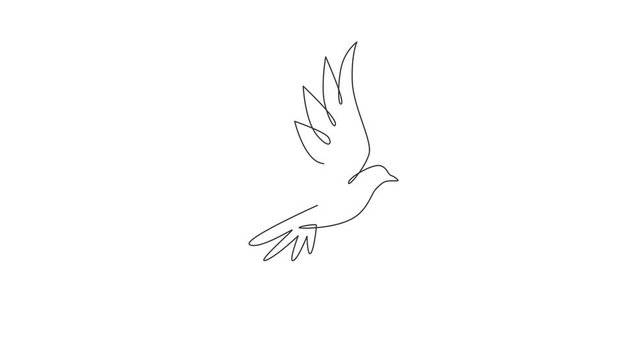 Animated self drawing of one continuous line draw cute flying dove bird for logo identity. Peace and freedom symbol mascot concept for national labor movement icon. Full length single line animation.