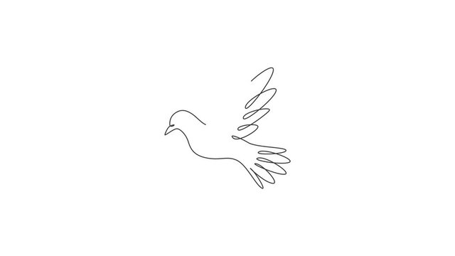 Animated self drawing of single continuous line draw adorable flying dove bird for logo identity. Cute pigeon mascot concept for freedom and peace movement icon. Full length one line animation.