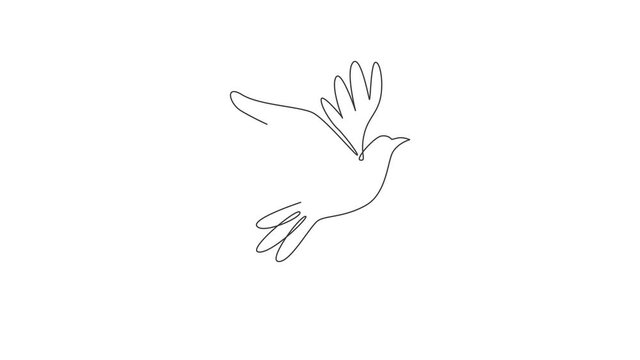 Animation of one single line drawing of adorable elegant fly dove bird for logo identity. Cute pigeon mascot concept for bird lover club icon. Continuous line self draw animated. Full length motion.