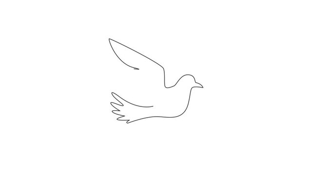 Animated self drawing of single continuous line draw adorable flying dove bird for logo identity. Cute pigeon mascot concept for freedom and peace movement icon. Full length one line animation.