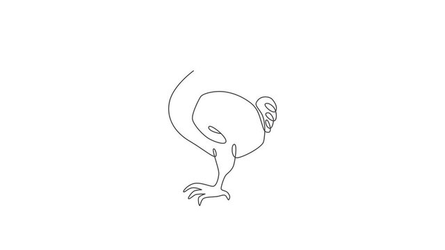Animation of one line drawing of adorable fun dodo bird for logo identity. Extinct animal mascot concept for national conservation park icon. Continuous line self draw animated. Full length motion.