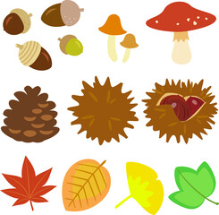 どんぐり、キノコ、松ぼっくり、毬栗、紅葉