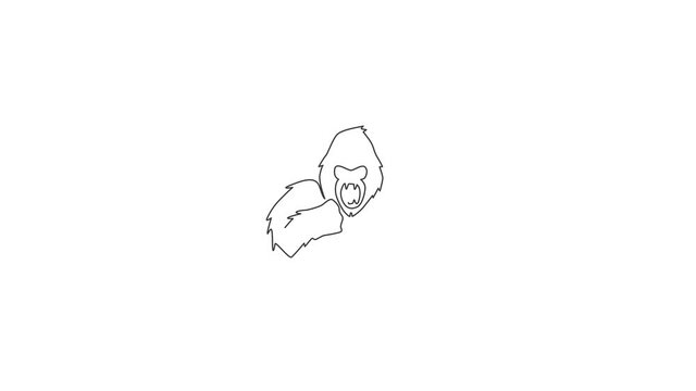 Animation of one line drawing of gorilla head for company business logo. Scary ape primate animal portrait mascot concept for corporate icon. Continuous line self draw animated. Full length motion