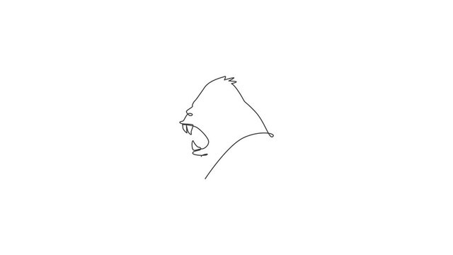 Animated self drawing of one continuous line draw gorilla head for national park logo identity. Primate animal portrait mascot concept for conservation forest icon. Full length single line animation.