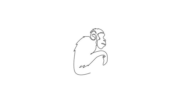 Animation of one line drawing of cute sitting chimpanzee for company business logo. Adorable primate chimp animal concept for corporate icon. Continuous line self draw animated. Full length motion.