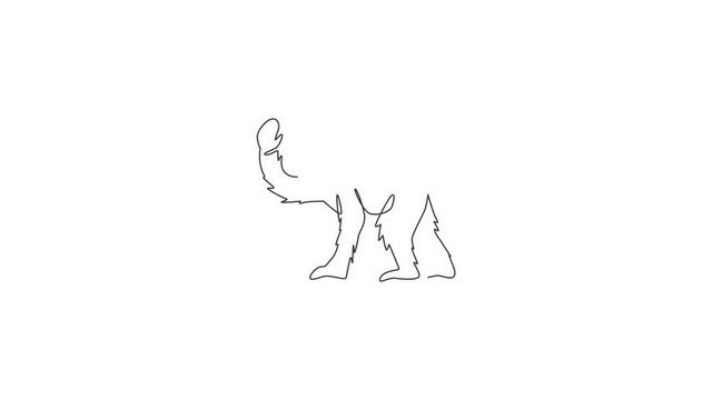 Animated self drawing of single continuous line draw cute jumping chimpanzee for national zoo logo identity. Adorable primate animal mascot concept for circus show icon. Full length one line animation