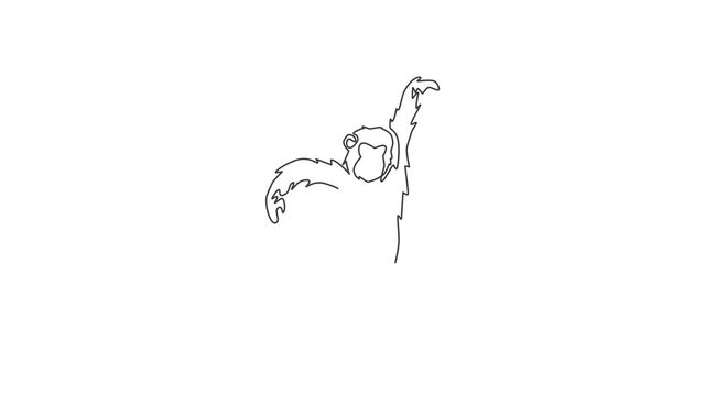 Animated self drawing of single continuous line draw cute jumping chimpanzee for national zoo logo identity. Adorable primate animal mascot concept for circus show icon. Full length one line animation