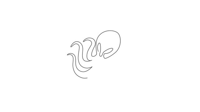 Animation of one single line drawing of scary octopus for business logo identity. Funny cute tentacle animal mascot concept for company icon. Continuous line self draw animated. Full length motion.