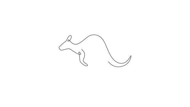Animated self drawing of single continuous line draw adorable jumping kangaroo for national zoo logo. Australian animal mascot concept for travel tourism campaign icon. Full length one line animation.