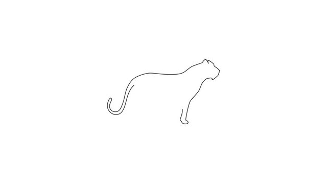 Animated self drawing of one continuous line draw dangerous cheetah for business logo identity. Strong leopard mascot emblem concept for conservation park icon. Full length single line animation.