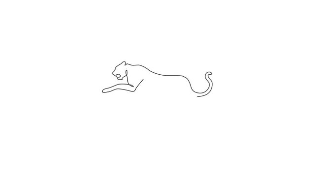 Animated self drawing of one continuous line draw dangerous jumping cheetah for business logo identity. Leopard mascot concept for conservation park icon. Full length single line animation.
