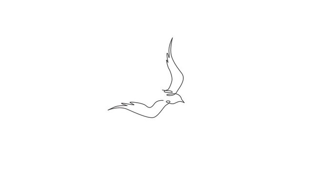 Animation of one single line drawing of elegant swallow for company business logo identity. Small bird mascot concept for healthy food symbol. Continuous line self draw animated. Full length motion.