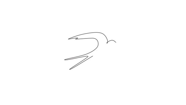Animation of one single line drawing of elegant swallow for company business logo identity. Small bird mascot concept for healthy food symbol. Continuous line self draw animated. Full length motion.