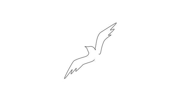 Animated self drawing of one continuous line draw luxury swallow for company logo identity. Cute bird mascot concept for organic food symbol. Full length single line animation illustration.