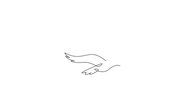 Animation of one line drawing of wild seagull for company business logo identity. Cute bird mascot concept for conservation national park symbol. Continuous line self draw animated. Full length motion