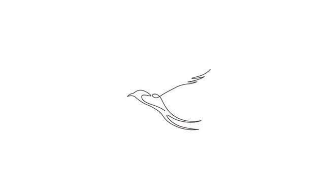 Animated self drawing of single continuous line draw beauty swallow for company logo identity. Adorable bird mascot concept for swallow nest farm symbol. Full length one line animation illustration.