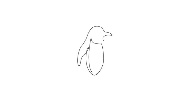 Animation of one line drawing of cute funny penguin for company business logo identity. North pole bird mascot concept for national zoo park. Continuous line self draw animated. Full length motion.