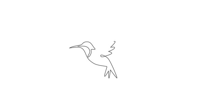 Animated self drawing of continuous line draw adorable hummingbird for company business logo identity. Tiny beauty bird mascot concept for conservation national park. Full length one line animation.