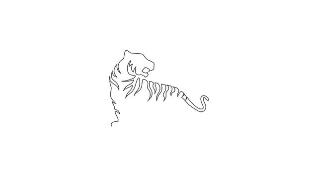 Animated self drawing of continuous line draw elegant Asian tiger for sport club logo identity. Dangerous big stripped cat mammal animal mascot concept for game club. Full length one line animation.