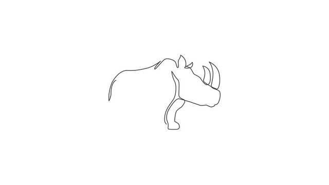 Animation of one line drawing of rhinoceros for conservation national park logo. Big African rhino animal mascot concept for national zoo safari. Continuous line self draw animated. Full length motion