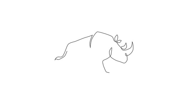 Animation of one line drawing of rhinoceros for conservation national park logo. Big African rhino animal mascot concept for national zoo safari. Continuous line self draw animated. Full length motion