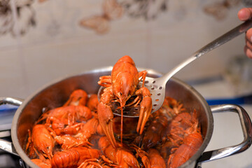 river crayfish are cooked in water in a saucepan on the stove in the kitchen, the crayfish are red from cooking