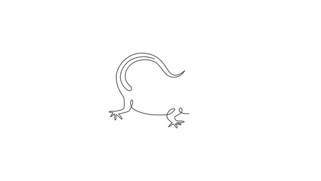Animated self drawing of continuous line draw exotic desert lizard for company logo identity. Cute desert animal mascot concept for reptile pet lover organization. Full length single line animation.