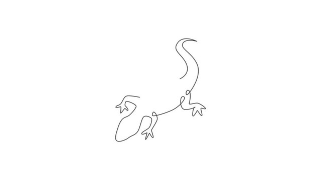 Animation of one single line drawing of adorable desert lizard reptile for company logo identity. Funny animal mascot concept for reptilian zoo. Continuous line self draw animated. Full length motion.