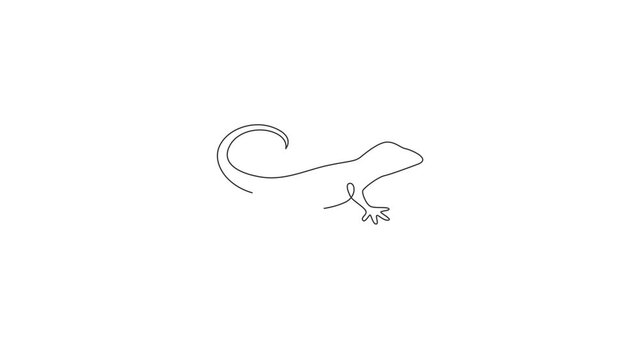 Animated self drawing of continuous line draw exotic desert lizard for company logo identity. Cute desert animal mascot concept for reptile pet lover organization. Full length single line animation.