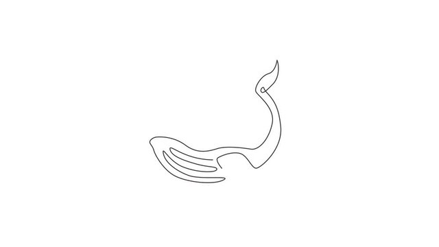 Animated self drawing of continuous line draw giant whale for water aquatic park logo identity. Big ocean mammal animal mascot concept for environment organization. Full length single line animation.