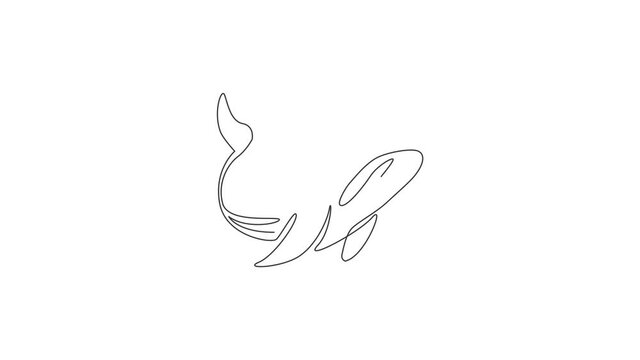 Animated self drawing of single continuous line draw big whale for marine company logo identity. Big fish mammal animal mascot concept for business logotype. Full length one line animation.