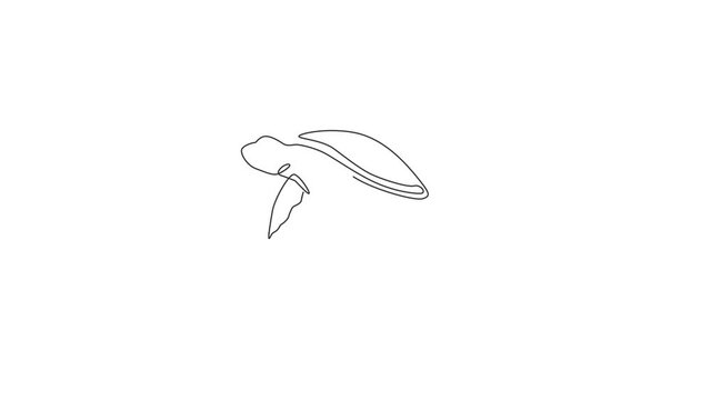 Animation of one line drawing of big turtle for marine company logo. Adorable creature reptile animal mascot concept for conservation foundation. Continuous line self draw animated. Full length motion