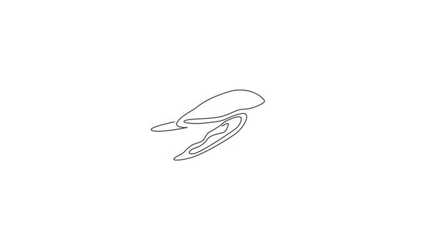 Animated self drawing of one continuous line draw wild sea turtle for water aquatic park logo. Cute ocean reptile animal mascot concept for environment organization. Full length single line animation.