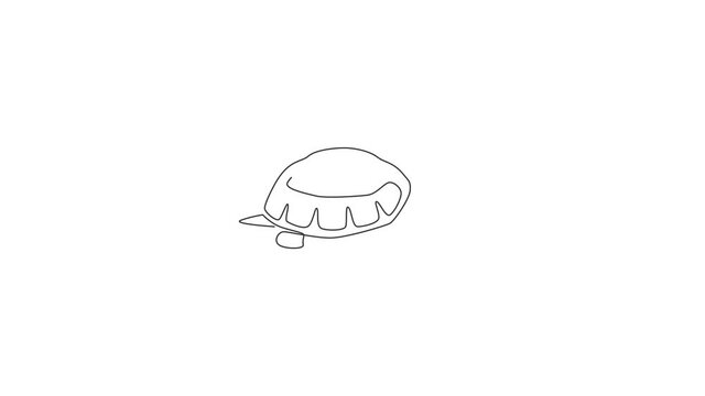 Animation of one line drawing of big land tortoise for social company logo. Adorable creature reptile animal concept for conservation foundation. Continuous line self draw animated. Full length motion