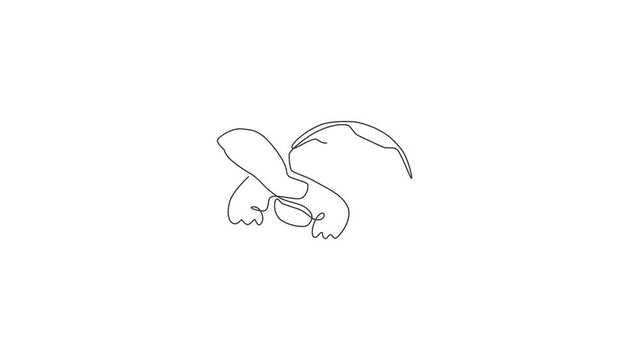 Animation of one line drawing of big land tortoise for social company logo. Adorable creature reptile animal concept for conservation foundation. Continuous line self draw animated. Full length motion