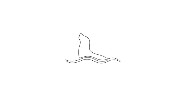 Animated self drawing of continuous line draw wild sea lion for marine company logo identity. Cute ocean mammal animal mascot concept for environment organization. Full length single line animation.