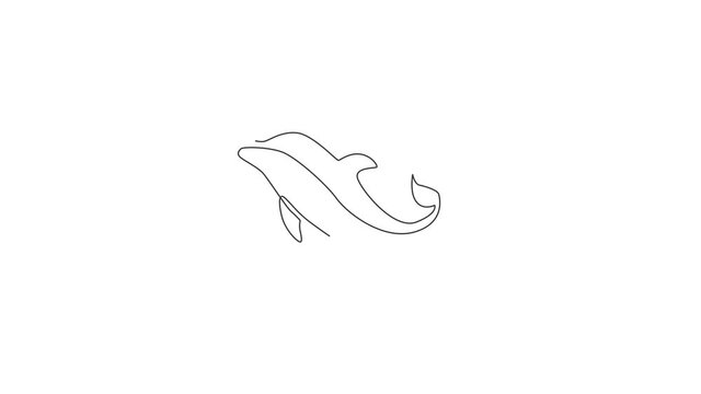 Animation of one line drawing of cute beautiful dolphin for company logo identity. Funny beauty mammal animal mascot concept for circus icon. Continuous line self draw animated. Full length motion.