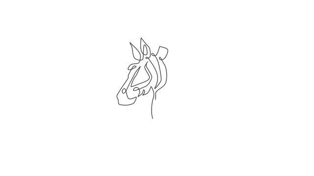 Animated self drawing of one continuous line draw zebra head for national park zoo safari logo identity. Horse from Africa with stripes concept for company mascot. Full length single line animation.