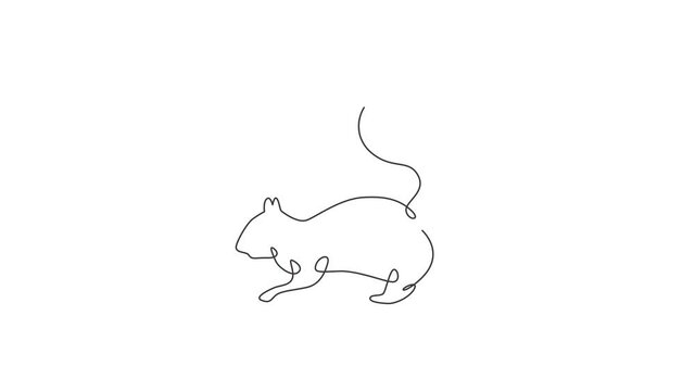 Animation of one line drawing of cute squirrel for company logo identity. Business corporation icon concept from funny rodent animal shape. Continuous line self draw animated. Full length motion.