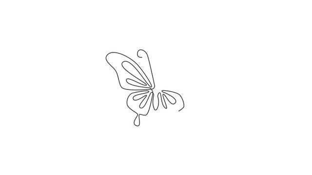 Animated self drawing of single continuous line draw luxury butterfly for corporation logo identity. Beauty salon and healthcare company icon concept from animal shape. Full length one line animation.